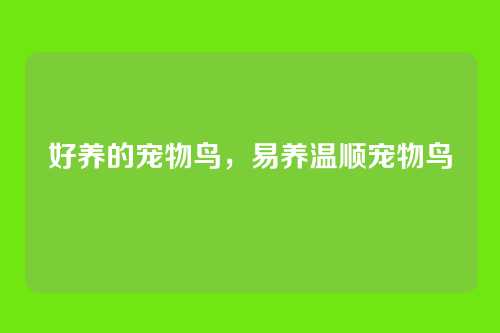 好养的宠物鸟,易养温顺宠物鸟