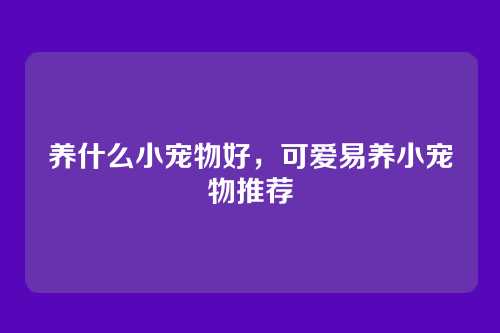 养什么小宠物好,可爱易养小宠物推荐