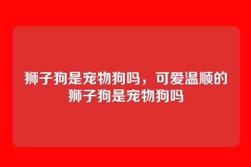狮子狗是宠物狗吗,可爱温顺的狮子狗是宠物狗吗