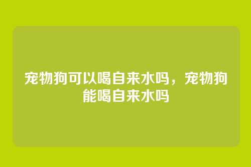 宠物狗可以喝自来水吗,宠物狗能喝自来水吗