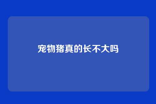 宠物猪真的长不大吗