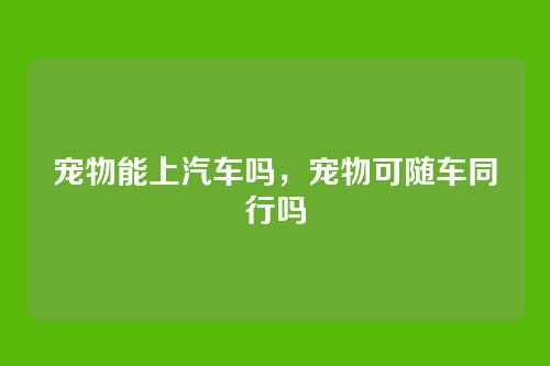 宠物能上汽车吗,宠物可随车同行吗
