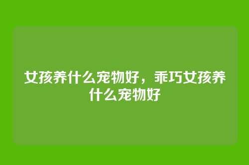 女孩养什么宠物好,乖巧女孩养什么宠物好