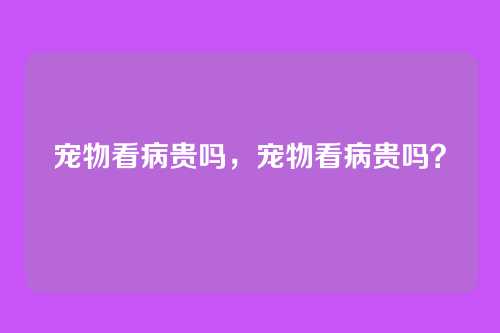 宠物看病贵吗,宠物看病贵吗?