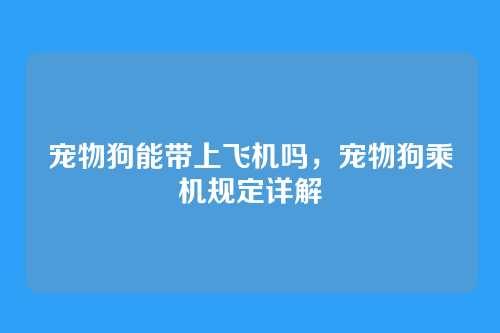 宠物狗能带上飞机吗,宠物狗乘机规定详解