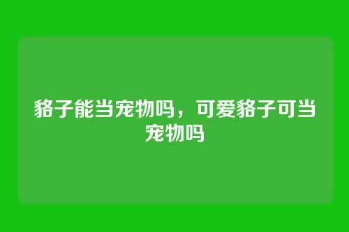 貉子能当宠物吗，可爱貉子可当宠物吗