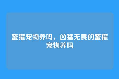 蜜獾宠物养吗,凶猛无畏的蜜獾宠物养吗