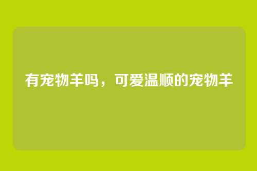 有宠物羊吗,可爱温顺的宠物羊