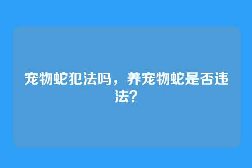 宠物蛇犯法吗,养宠物蛇是否违法?