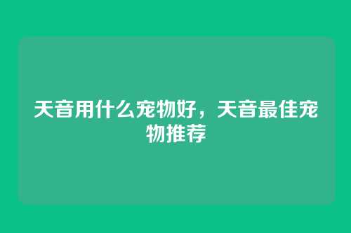 天音用什么宠物好,天音最佳宠物推荐