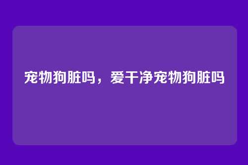 宠物狗脏吗,爱干净宠物狗脏吗