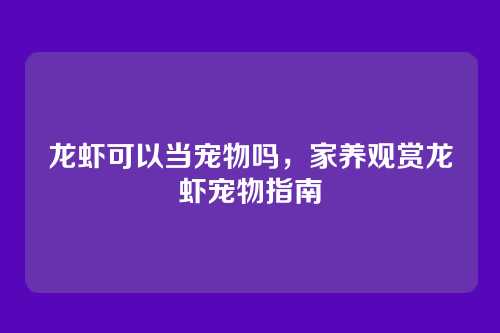 龙虾可以当宠物吗,家养观赏龙虾宠物指南
