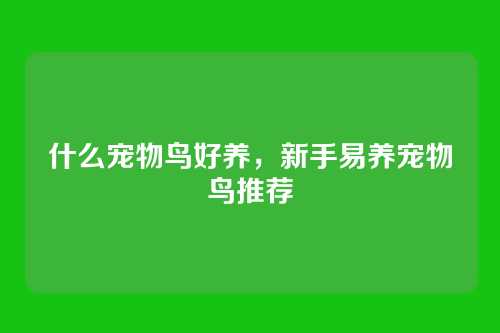 什么宠物鸟好养,新手易养宠物鸟推荐