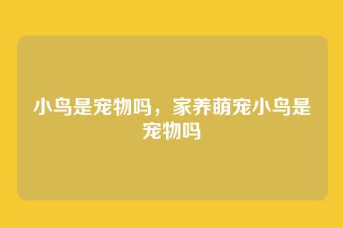 小鸟是宠物吗,家养萌宠小鸟是宠物吗