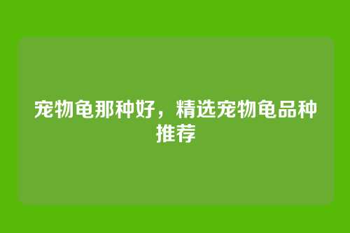 宠物龟那种好，精选宠物龟品种推荐