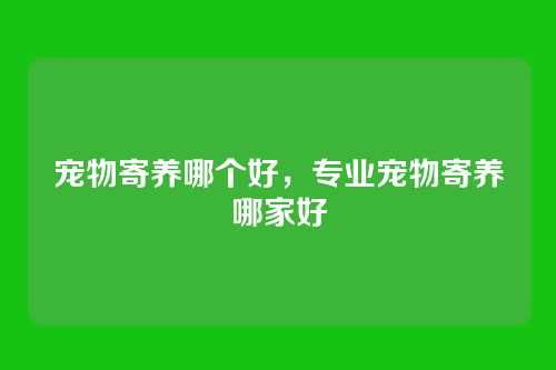 宠物寄养哪个好，专业宠物寄养哪家好
