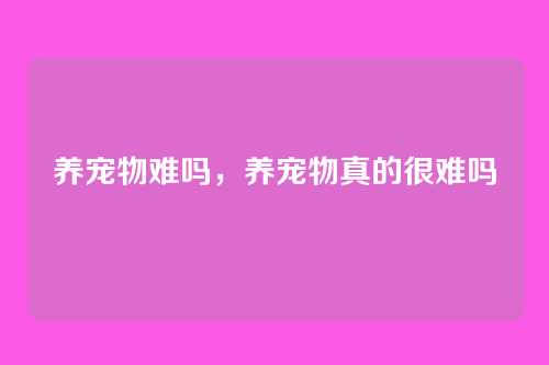 养宠物难吗,养宠物真的很难吗