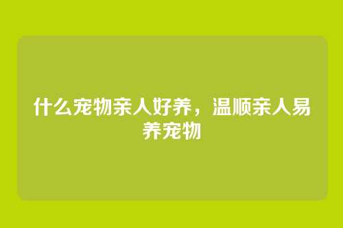 什么宠物亲人好养,温顺亲人易养宠物