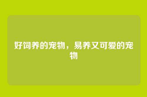 好饲养的宠物,易养又可爱的宠物