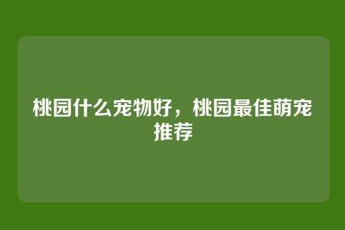 桃园什么宠物好，桃园最佳萌宠推荐