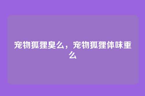 宠物狐狸臭么，宠物狐狸体味重么