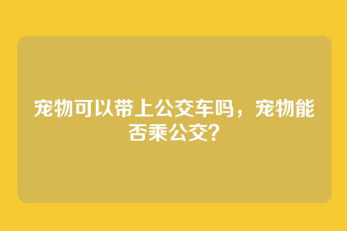 宠物可以带上公交车吗，宠物能否乘公交？