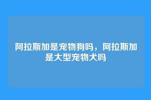阿拉斯加是宠物狗吗，阿拉斯加是大型宠物犬吗