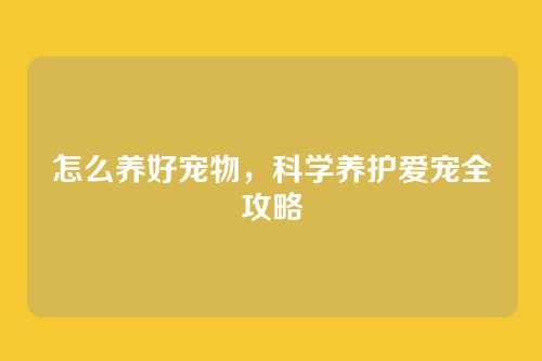 怎么养好宠物,科学养护爱宠全攻略