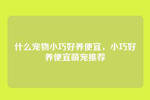 什么宠物小巧好养便宜,小巧好养便宜萌宠推荐