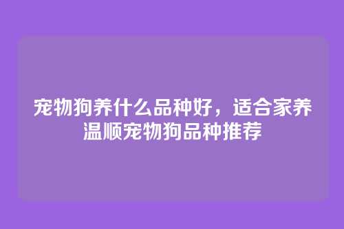 宠物狗养什么品种好，适合家养温顺宠物狗品种推荐