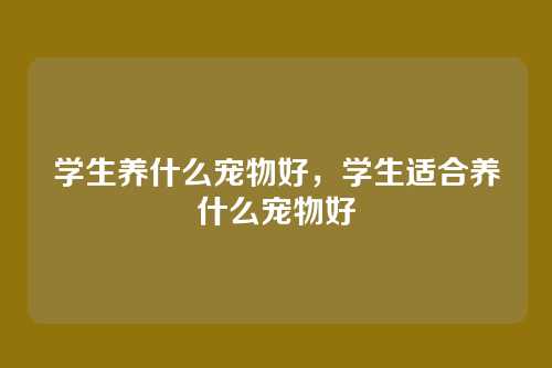 学生养什么宠物好,学生适合养什么宠物好