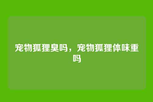 宠物狐狸臭吗,宠物狐狸体味重吗