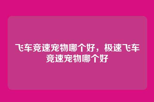 飞车竞速宠物哪个好,极速飞车竞速宠物哪个好