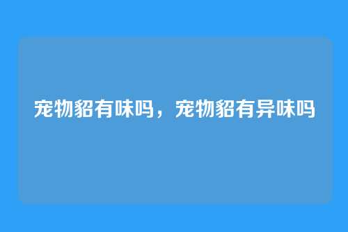 宠物貂有味吗,宠物貂有异味吗