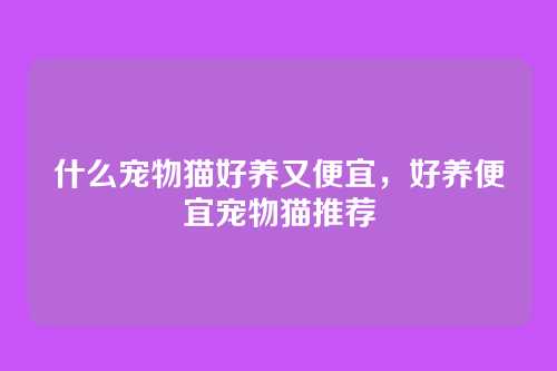 什么宠物猫好养又便宜,好养便宜宠物猫推荐