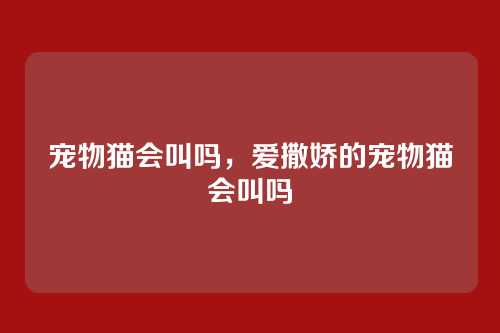 宠物猫会叫吗,爱撒娇的宠物猫会叫吗