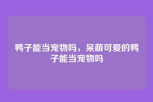 鸭子能当宠物吗，呆萌可爱的鸭子能当宠物吗