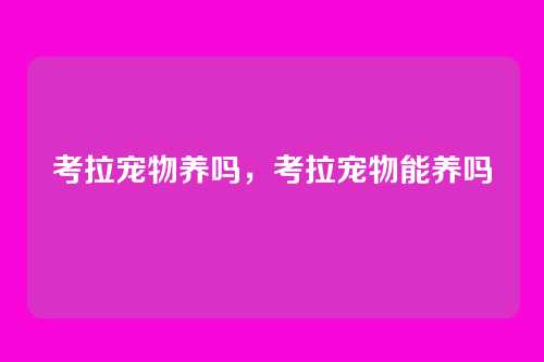 考拉宠物养吗，考拉宠物能养吗