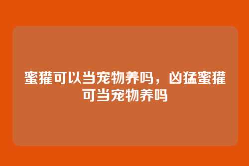 蜜獾可以当宠物养吗,凶猛蜜獾可当宠物养吗