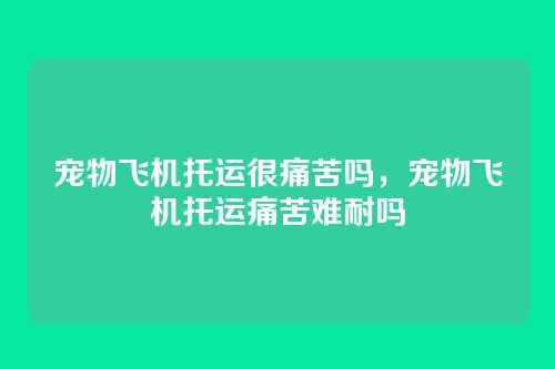 宠物飞机托运很痛苦吗,宠物飞机托运痛苦难耐吗