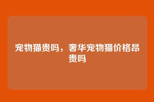 宠物猫贵吗，奢华宠物猫价格昂贵吗