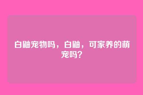 白鼬宠物吗,白鼬,可家养的萌宠吗?