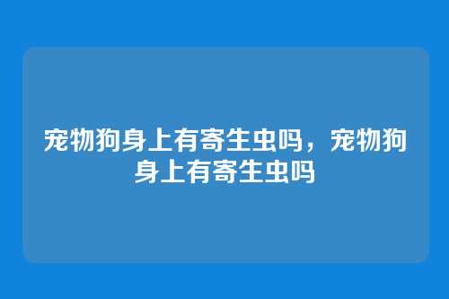 宠物狗身上有寄生虫吗，宠物狗身上有寄生虫吗