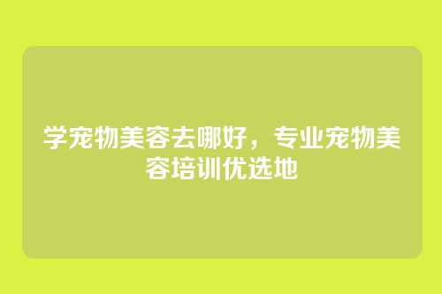 学宠物美容去哪好,专业宠物美容培训优选地