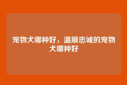 宠物犬哪种好，温顺忠诚的宠物犬哪种好