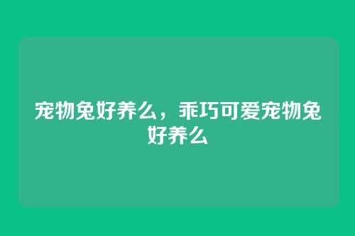 宠物兔好养么，乖巧可爱宠物兔好养么