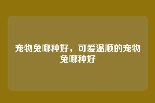 宠物兔哪种好，可爱温顺的宠物兔哪种好