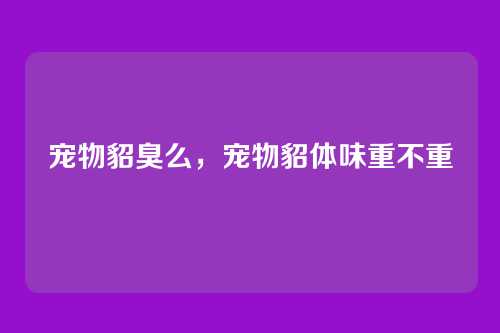 宠物貂臭么，宠物貂体味重不重