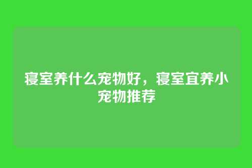寝室养什么宠物好,寝室宜养小宠物推荐