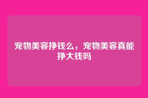 宠物美容挣钱么，宠物美容真能挣大钱吗
